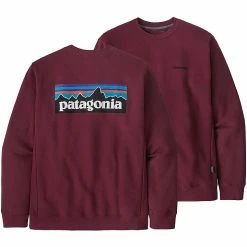 Patagonia Ski The East Icon Pullover Hoodie Men's