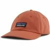 Patagonia P-6 Logo Trucker Hat